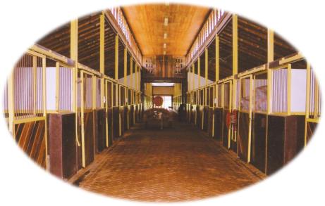 Yearlings Barn