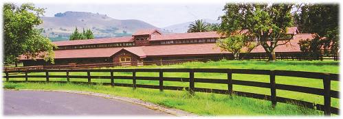 Yearling Barn